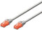 Ewent EW-6U-020 - Cable latiguillo de red (2 metros)