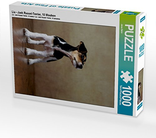 CALVENDO Puzzle LIU - Jack Russel-Terrier, 10 Wochen 1000 Teile Puzzle hoch | 1000 Teile Lege-Größe 48 x 64 cm Foto-Puzzle für glückliche Stunden