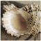 ARTland Wanddeko Glasbilder Wandbild Glas Bild einteilig 50x50 cm Quadratisch Strand Meer Muscheln Sand Küste Urlaub Maritim T5DJ