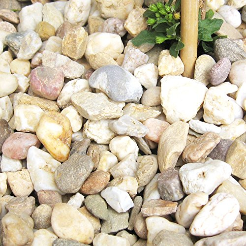 MGS SHOP 25 KG Zierkies Garten Kies mediteran gelblich Körnung (8/16mm)