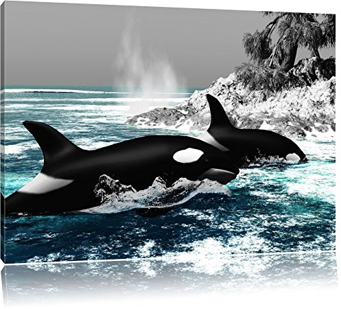 Pixxprint schöne Orcas vor Insel B&W, Größe: 60x40cm, Leinwandbild, fertig gespannt, Wandbild, Dekoration, Kunstdruck, kein Poster