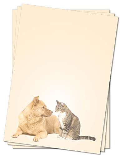 Motivpapier Briefpapier (Tiere-5076, DIN A4 25 Blatt) Hund und Katze schauen sich an