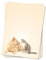 Motivpapier Briefpapier (Tiere-5076, DIN A4 25 Blatt) Hund und Katze schauen sich an