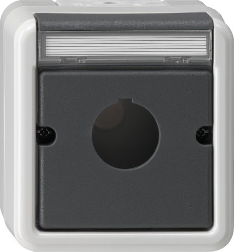 Gira 027230 Abdeckung mit Tragring Geräte mit 22.5 mm Wassergeschützt Aufputz, grau