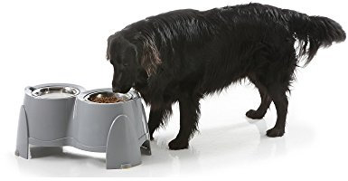 Savic Ergo Double Mangeoire pour Chien 28 cm