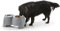 Savic Ergo Double Mangeoire pour Chien 28 cm