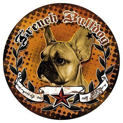 Französische Bulldogge Hunde Aufkleber - French Bulldog Sticker Decal Murphy - DUB