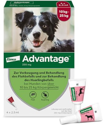 Elanco Advantage Spot-On 250 für mittelgroße Hunde von 10 bis 25 kg Körpergewicht, schnelle Bekämpfung von Flöhen und Schutz vor Flohbefall für bis zu 4 Wochen, 4 Pipetten mit 2,5 ml Lösung