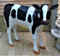 XL KALB lebensgross 120cm Premium Gartendeko~Kuh~Gartendekoration Figur DEKO~Garten