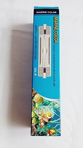 70W 20000K HQI Doppelendige Metallhalogenbirne R7S Sockel Entwickelt für Aquarium Korallen und Meeresfische Hohe Leistung, Blaues und Weißes Licht Ideal für Meerwasseraquarien Energieeffizient
