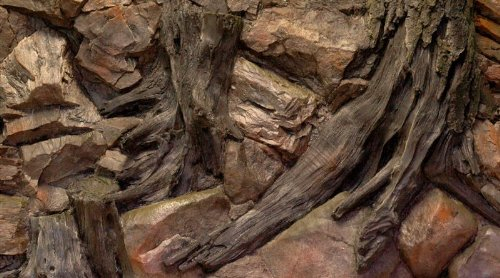 3D Aquarienrückwand 100x60 Root