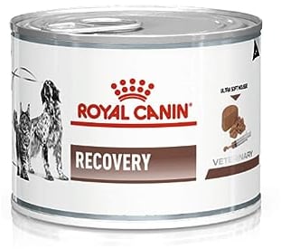 Royal Canin Veterinary Recovery | 12 x 195 g | Alimento dietetico completo per cani e gatti adulti | Mousse ultra morbida ad alto contenuto proteico
