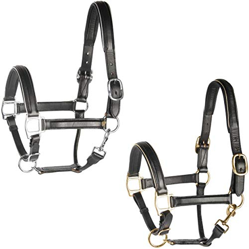 Harry's Horse Halster Leder, zwart met bies, Farbe:Gold, Größe:Pony
