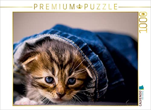 CALVENDO Puzzle Endlich den Ausgang gefunden | 1000 Teile Lege-Größe 64 x 48 cm Foto-Puzzle für glückliche Stunden
