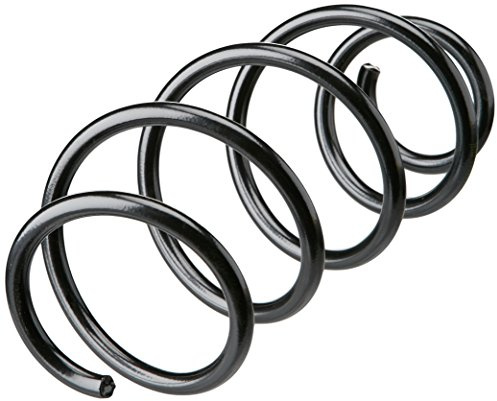 lesjofers 4095105 Coil Spring Front
