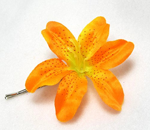 Flower 10736 - abono césped Organic complet-n (l.c.), 15kg