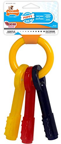 Nylabone Gentle Puppy Dog Teething Chew Toy Keys, Bacon Flavour, Medium, for Puppies Up to 16 kg