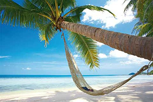 empireposter Beaches - Chill Out Paradise - Beach Poster Foto Strand Palmen Meer Paradies - Grösse 91,5x61 cm