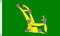 Flagtex Starry Plough Flagge, grün, L