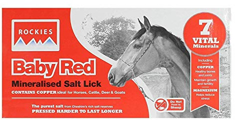 Baby Rockie Salt Lick 2k Red
