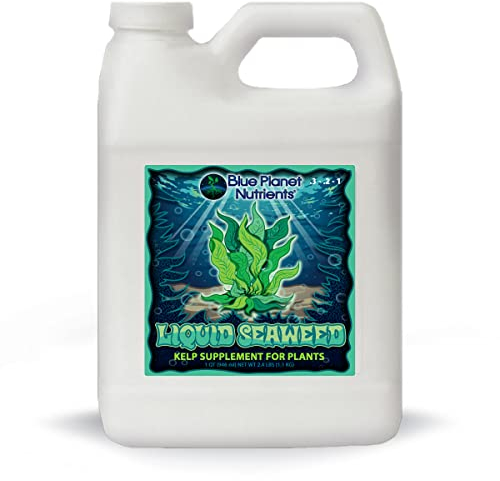 Flüssiger Seetang für Pflanzen, 900 ml, konzentriertes flüssiges Kelp-Ergänzungsmittel, ergibt bis zu 250 Liter, für alle Pflanzen und Gärten Blue Planet Nutrients