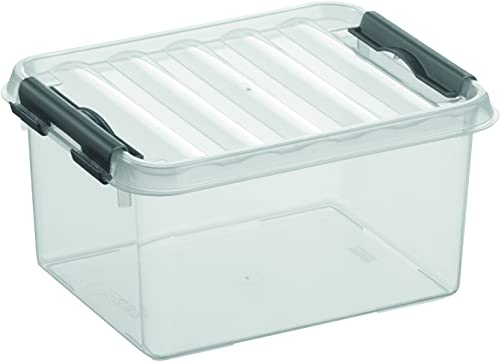 Helit by H6162402-Aufbewahrungsbox The q-line, 2 Liter, mit Deckel, transparent, 1 Stück sunware Box 2l H6162402, durchsichtig