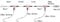 Tronixpro 3 Hook Clipped Fishing Rig 1/0