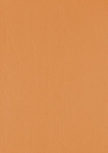 LMG Kartonrückwand orange