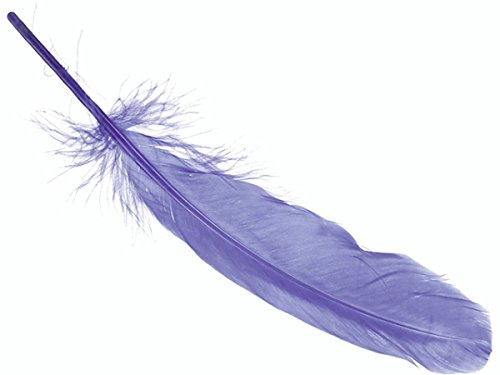 Knorr Prandell Gänsefedern 16-21cm blau 8er