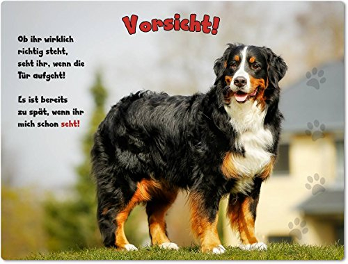 Merchandise for Fans Blechschild/Warnschild/Türschild - Aluminium - 30x20cm - mit Spruch - Motiv: Berner Sennenhund - 01