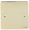 Schneider Electric Ultimate Flat Plate - Single Blank Plate, GU8210PB, Polished Brass