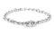 Ancol – Collier étrangleur, chaîne extra lourde, 75 cm