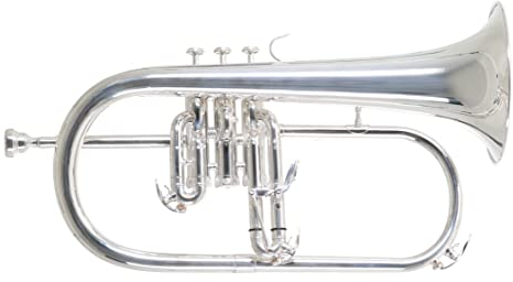 Roy Benson Bb-Flügelhorn FH-302S (mit 11mm MS Bohrung, Goldmessing Schallstück, Edelstahl Ventilen, inkl. leichtem Rechtecketui, mit Rucksackfunktion, Größe: 6), versilbert