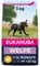 Eukanuba Welpenfutter mit frischem Huhn für große Rassen, Premium Trockenfutter für Welpen, 3 kg