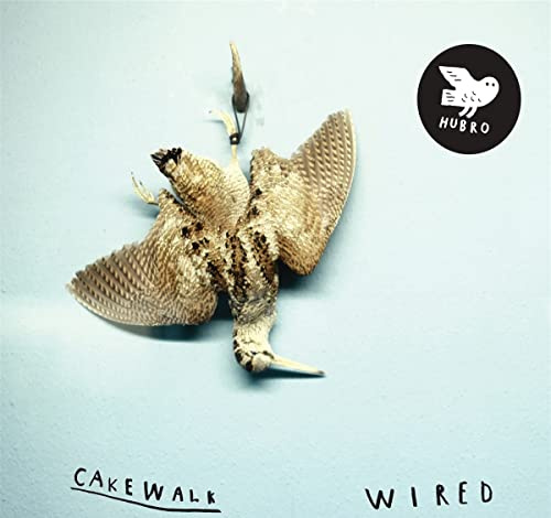 Hubro Wired