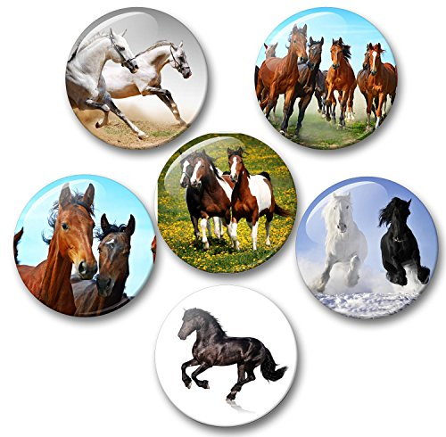 Merchandise for Fans Pferde Schimmel Rappe Fohlen - 6 große Kühlschrankmagnete [ 05 ]