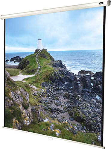 celexon manualmente Extensible Pantalla para Cine en casa y Negocios 4K y Full-HD Enrollable -Pantalla Economy - 220 x 220 cm - 123 - 1:1