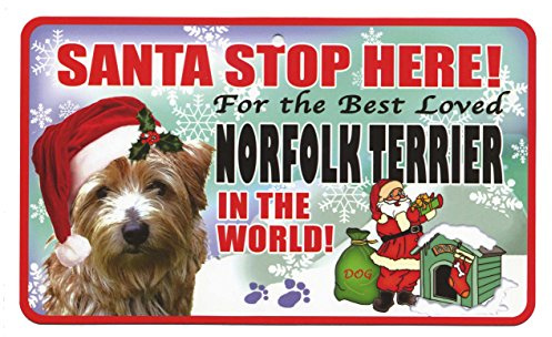 NORFOLK TERRIER STOP HERE SIGN