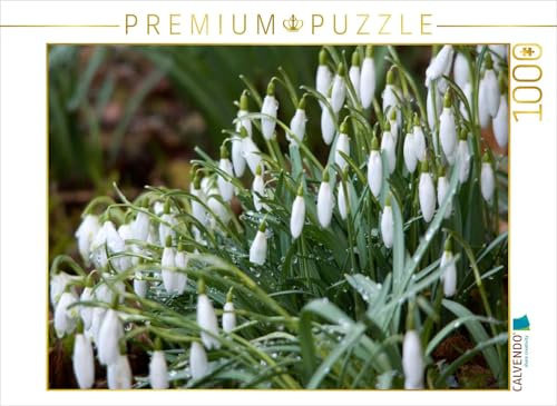 CALVENDO Puzzle Im März die ersten Schneeglöckchen | 1000 Teile Lege-Größe 64 x 48 cm Foto-Puzzle für glückliche Stunden