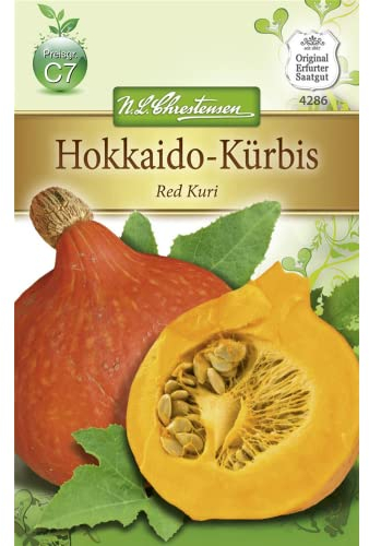 Chrestensen Hokkaido-Kürbis 'Red Kuri'