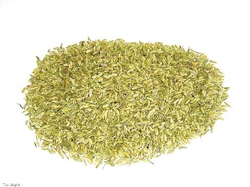 Fenchel Tee 1 kg Vorratspack offener loser Tee ganz Tee-Meyer