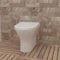 Huibathroom Bathroom Back to Wall Toilet Soft Close Seat WC Pan Round