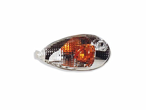Blinker hinten links Liberty 125, 150 (01-02) | Ersatzteil, OEM 8314, 5801020001