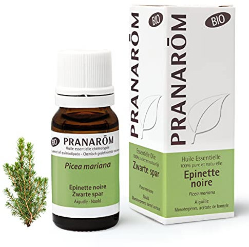 Pranarôm | Huile Essentielle Epinette Noire Bio | Picea mariana | HECT | 10 ml
