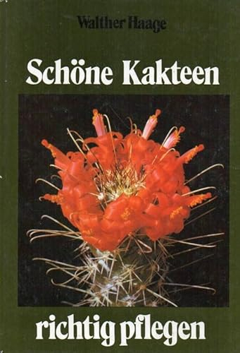 Schöne Kakteen richtig pflegen