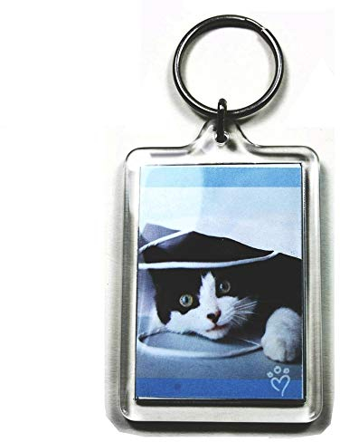 PC3721@ 92033 Schlüsselanhänger, für Foto mit 50 x 35 mm, transparent (100 Stücke)