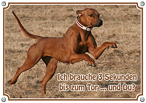 Petsigns Hundeschild - Rhodesian Ridgeback - Metall - wetterbeständiges Warnschild, DIN A4
