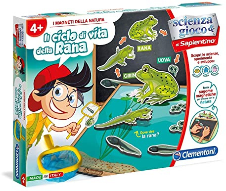 Clementoni 13976 – Die Magnete der Natur der Lebenszyklus der Frösche mehrfarbig