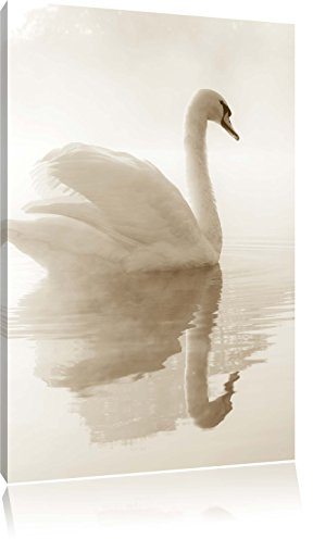 Pixxprint Weißer Schwan im Morgennebel, Größe: 80x60cm, Leinwandbild, fertig gespannt, Wandbild, Dekoration, Kunstdruck, kein Poster