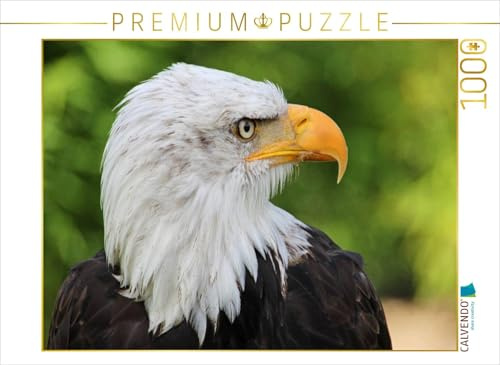 CALVENDO Puzzle Weisskopfseeadler | 1000 Teile Lege-Größe 64 x 48 cm Foto-Puzzle für glückliche Stunden